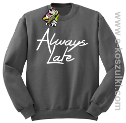 Always Late - bluza bez kaptura STANDARD szara