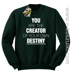 You are the CREATOR of your own DESTINY - bluza bez kaptura butelkowa